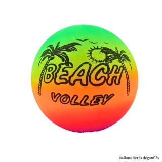 PALLAVOLO ARCOBALENO PVC 4 MODELLI ASSORTITI