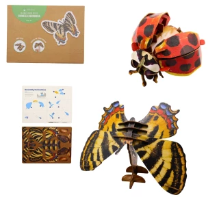 PUZZLE 3D PAPILLON/COCCINELLE 15X20CM