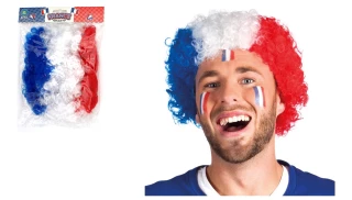 PERRUQUE POP FRANCE